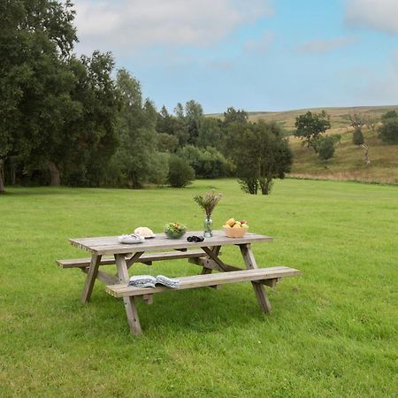 Brown Rigg Guest Rooms Bellingham Esterno foto