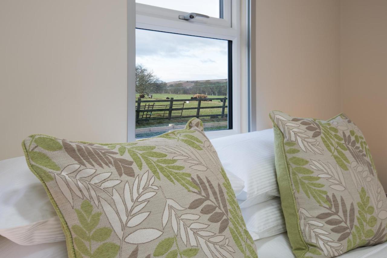 Brown Rigg Guest Rooms Bellingham Esterno foto